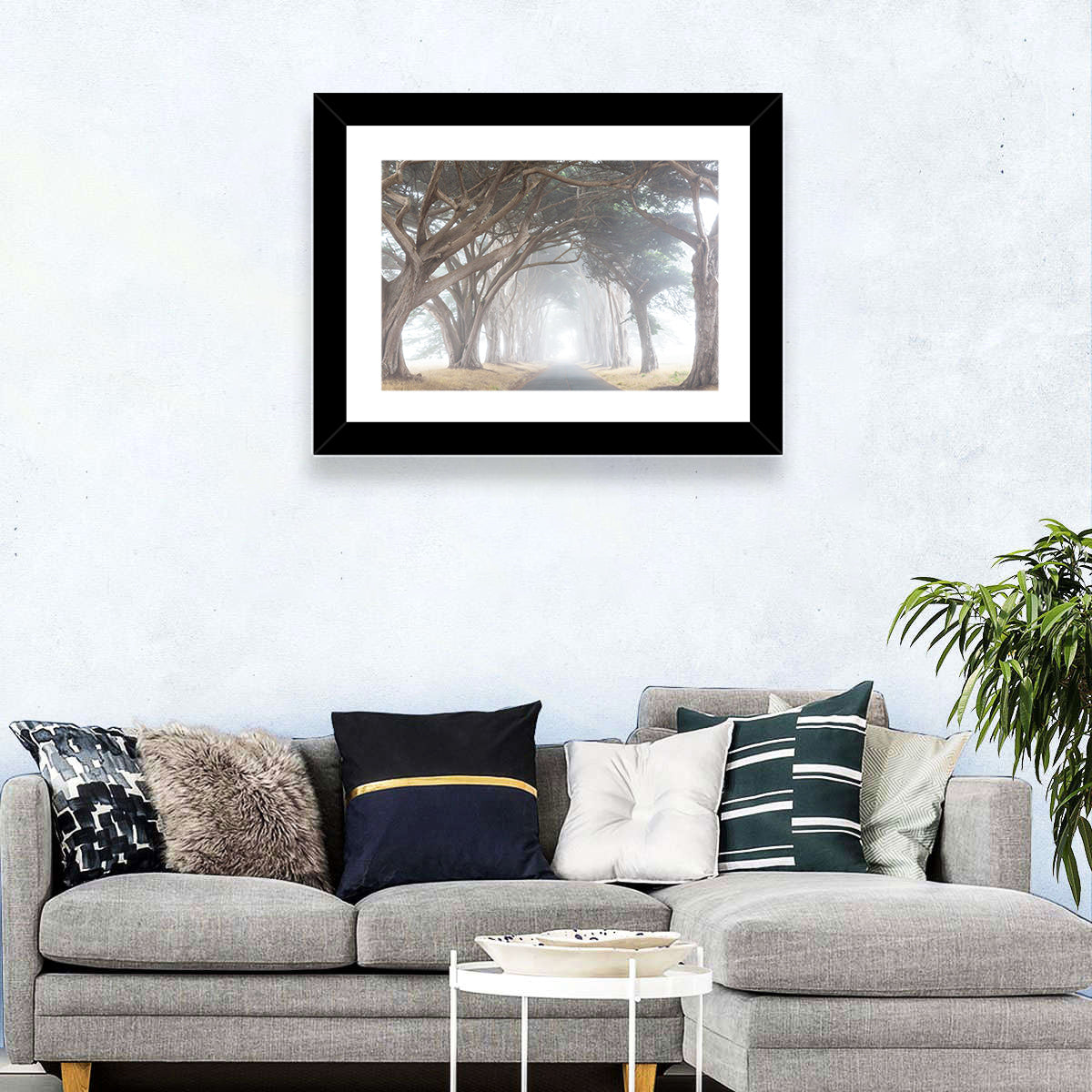 Misty Alley Trees Wall Art