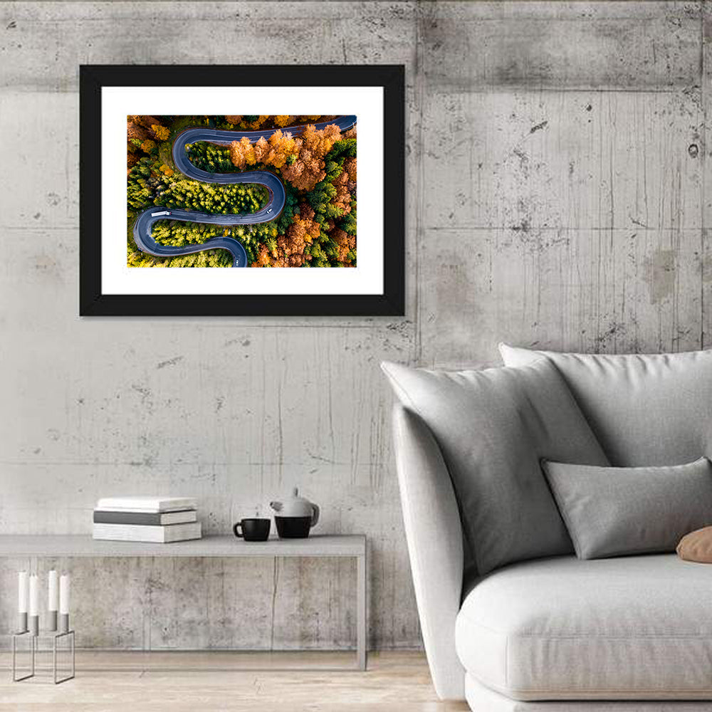 Serpentine Forest Road Wall Art