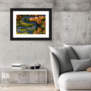 Winding Forest Road Wall Art