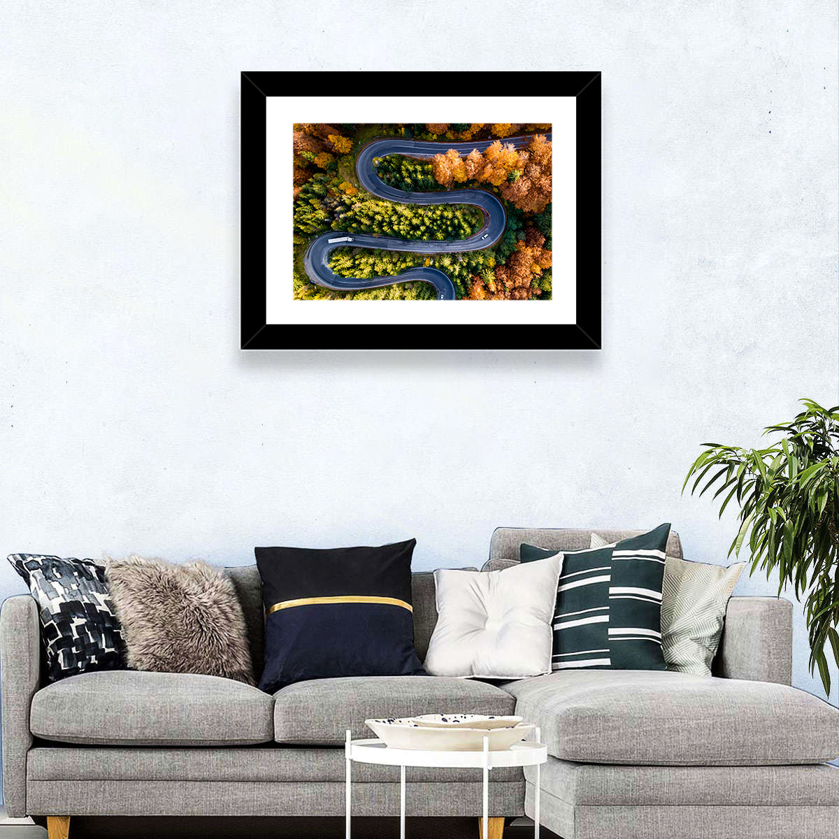 Serpentine Forest Road Wall Art in a room, landscape