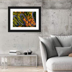 Autumn Aerial Mountain Road Wall Art