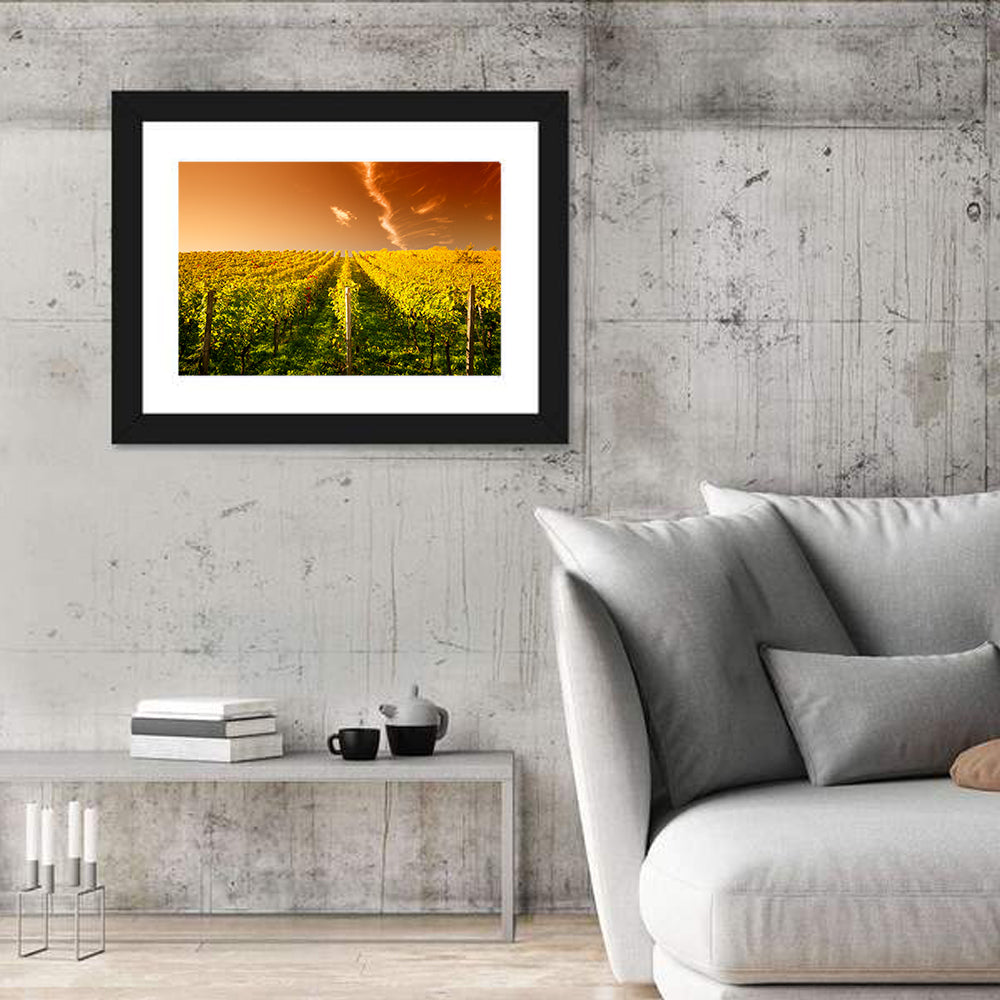 Golden Vineyard Sunset Wall Art in a room, landscape