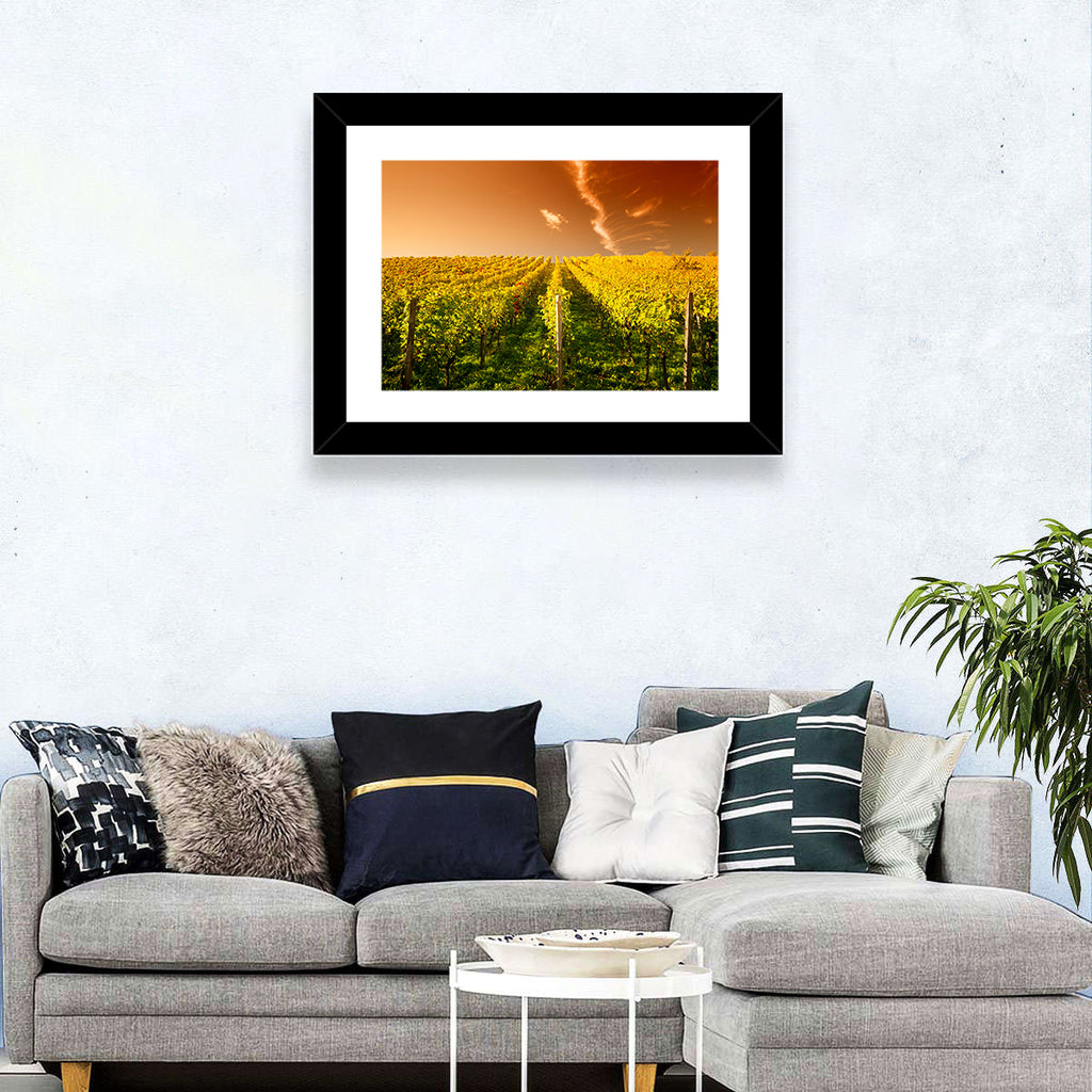 Golden Vineyard Sunset Wall Art