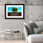 Tree Roots Cross-section Illustration Wall Art