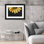Banana Bunch with Water Droplets Wall Art