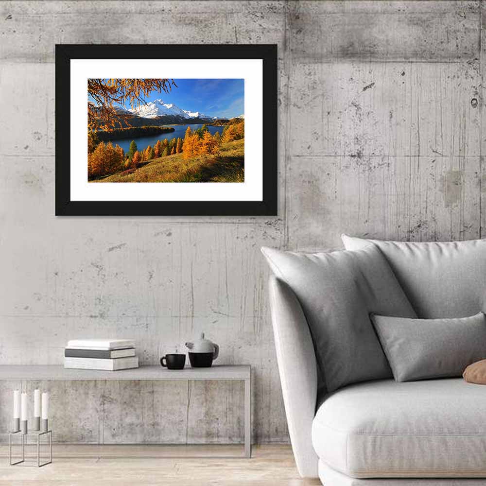 Silsersee Larches and Swiss Alps Wall Art in a room, landscape