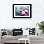 Pink Water Lilies Wall Art