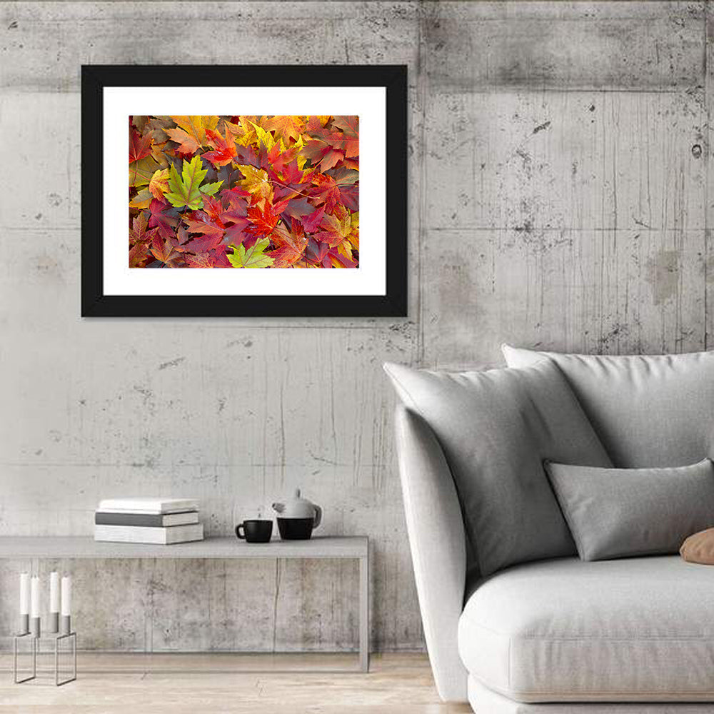 Autumn Maple Leaves Close-up Wall Art