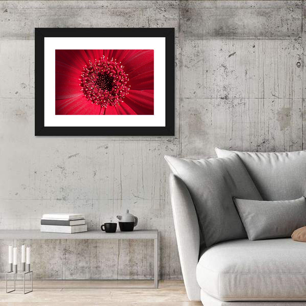 Red Gerbera Daisy Macro Close Up Wall Art