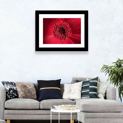 Gerbera Daisy Wall Art