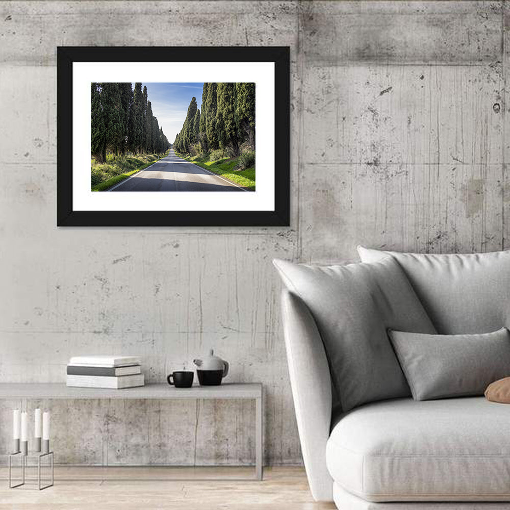 Avenue of Cypress Trees Wall Art