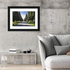 Avenue of Cypress Trees Wall Art