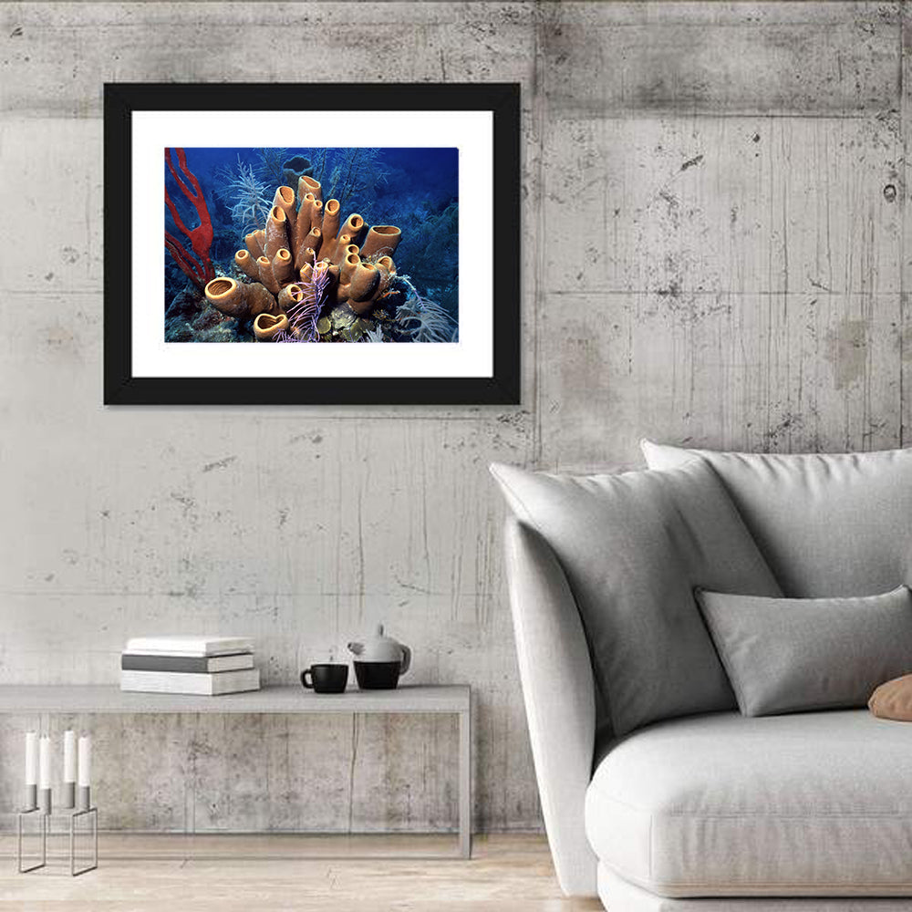 Belize Reef Sponge Scene Wall Art