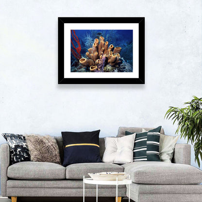 Belize Reef Sponges Wall Art