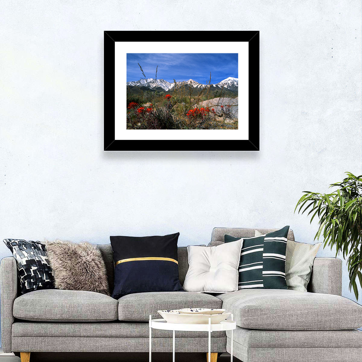 Sierra Nevada Wildflower Vista Wall Art in a room, landscape