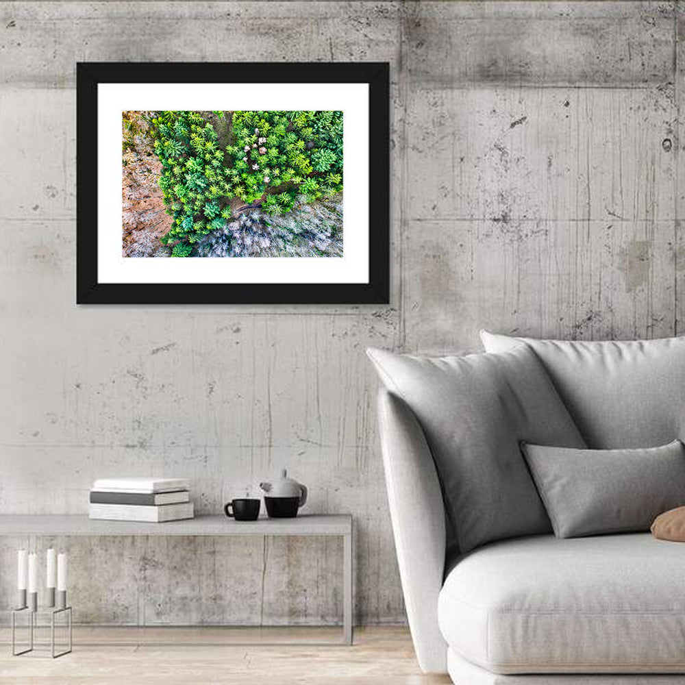 Vosges Mountains Wall Art