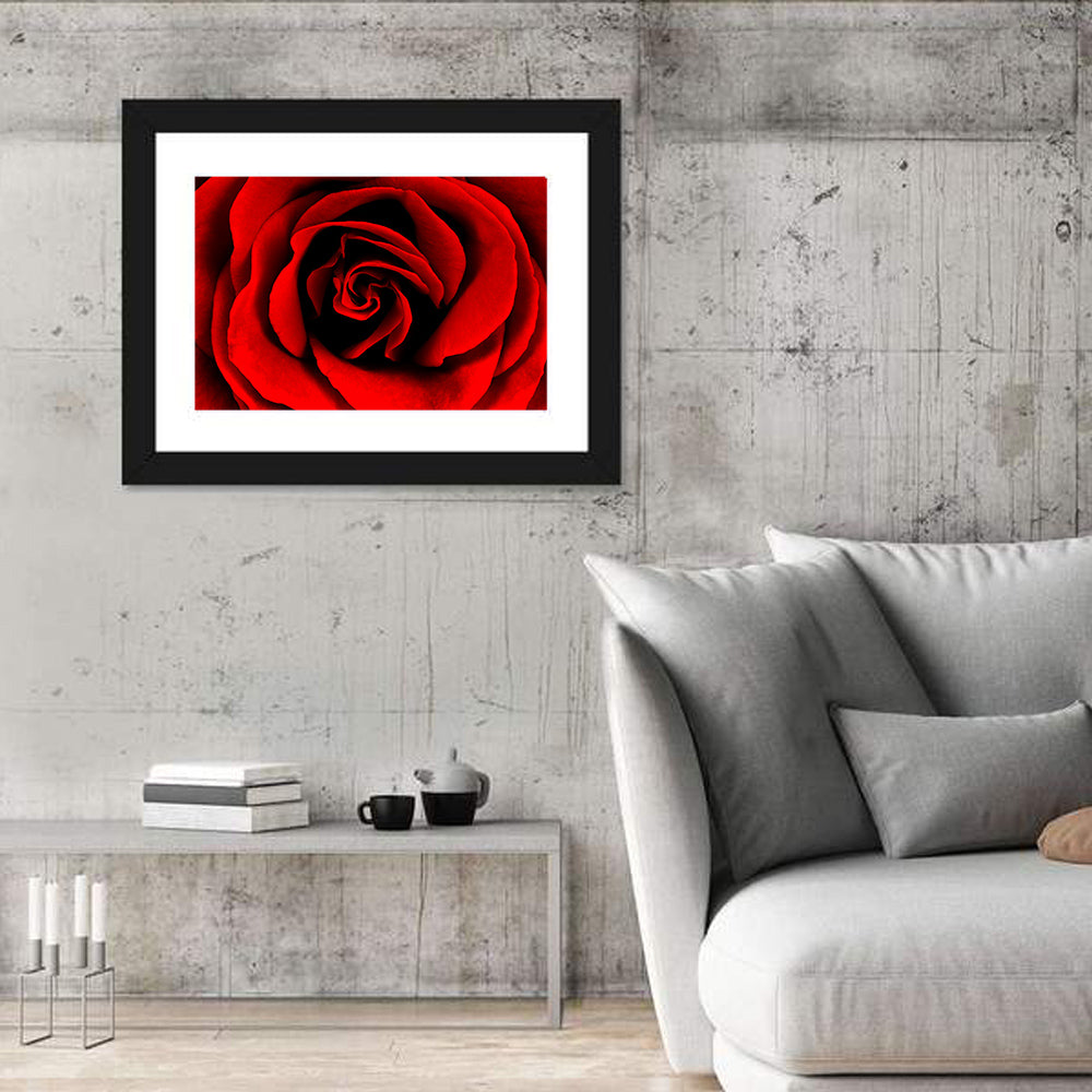Velvety Red Rose Close-up Wall Art in a room, landscape