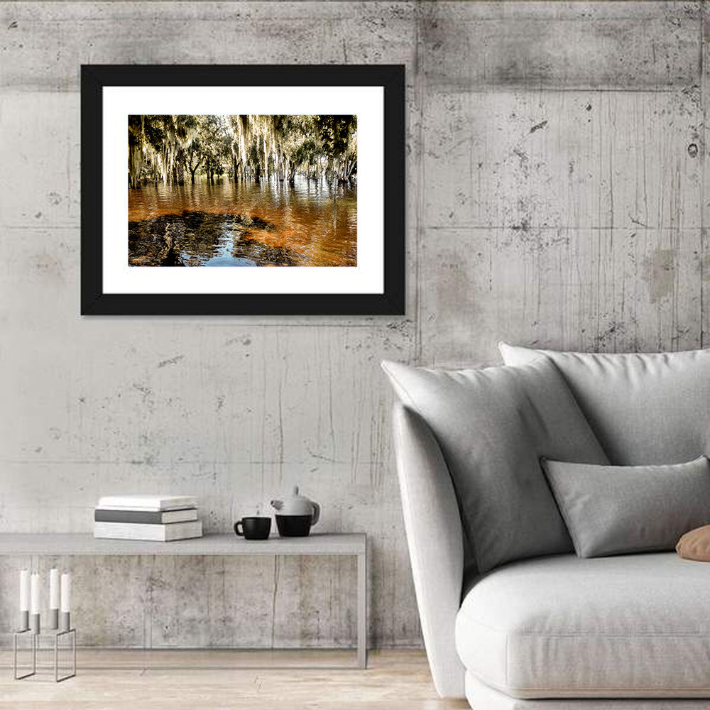 Spanish Moss Swamp at Lake Jesup Wall Art in a room, landscape