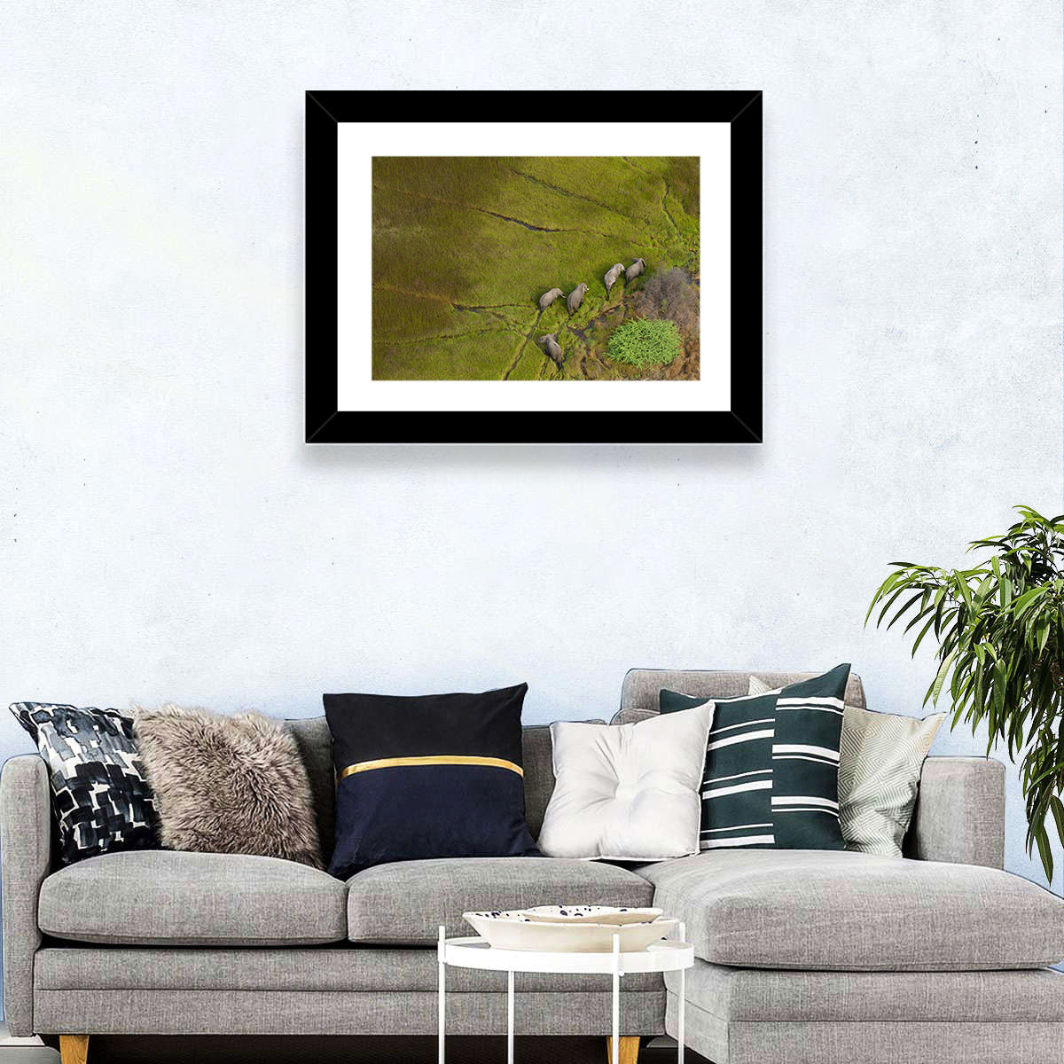 Aerial Herd of Elephants Wall Art