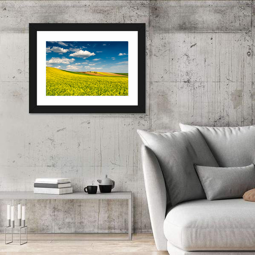 Sunlit Canola Fields Wall Art in a room, landscape