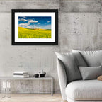 Sunlit Canola Fields Wall Art