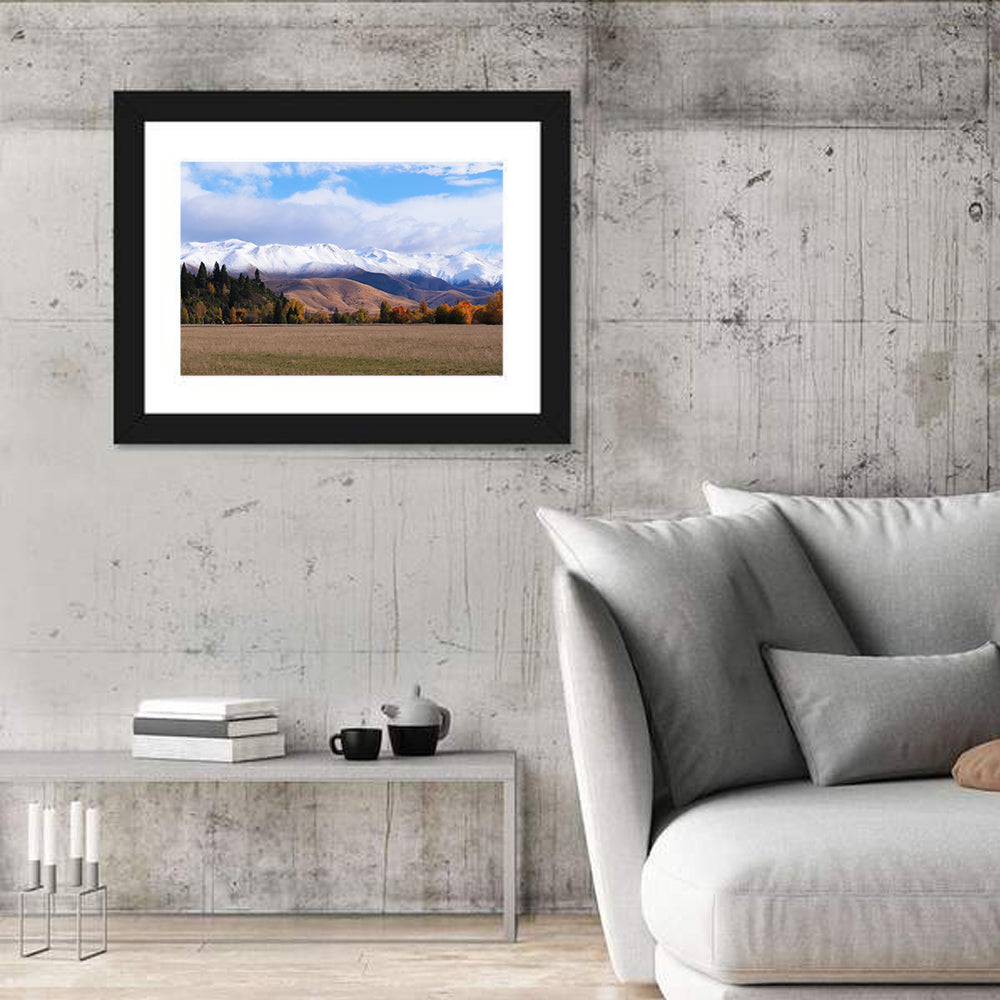 Ben Ohau Mountain Meadow Wall Art