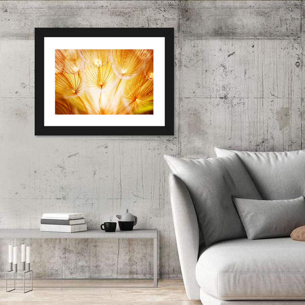 Golden Hour Dandelion Seed Macro Abstract Wall Art