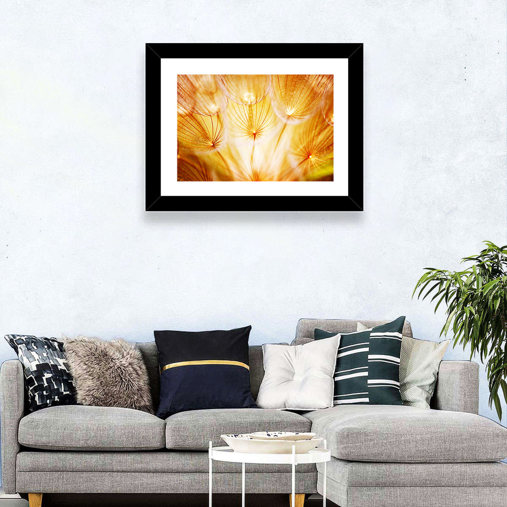 Golden Hour Dandelion Seed Macro Abstract Wall Art