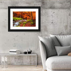Autumn Forest Stream Wall Art