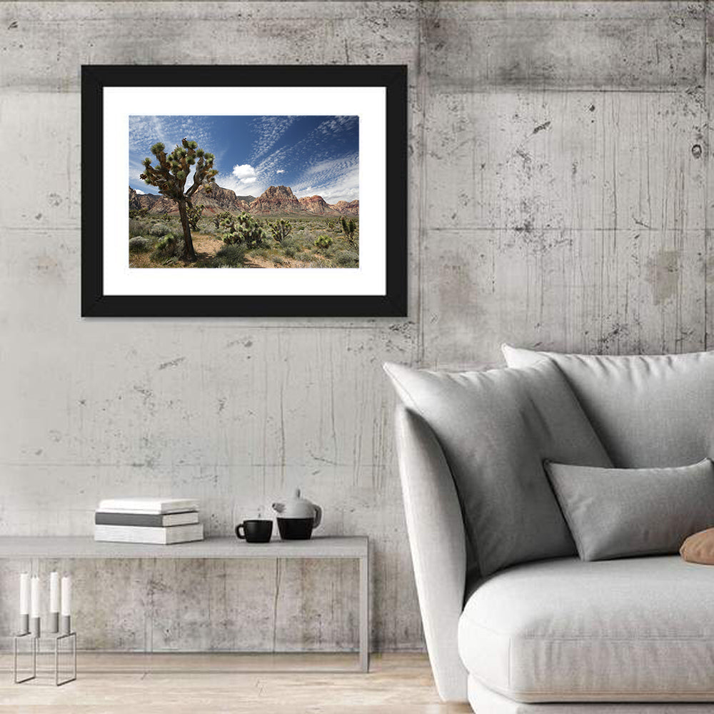 Red Rock Canyon Joshua Tree Wall Art