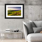 Alpine Meadow Sunrise Wall Art