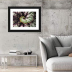 Begonia Leaf Spiral Geometry Wall Art