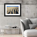 Endless Rippled Sand Dunes Wall Art