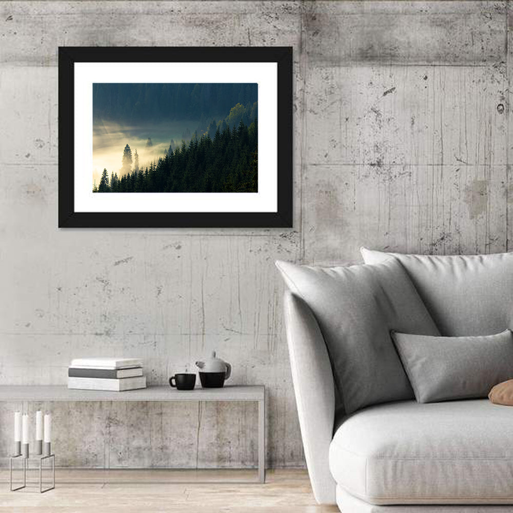 Conifer Valley Morning Mist Wall Art in a room, landscape