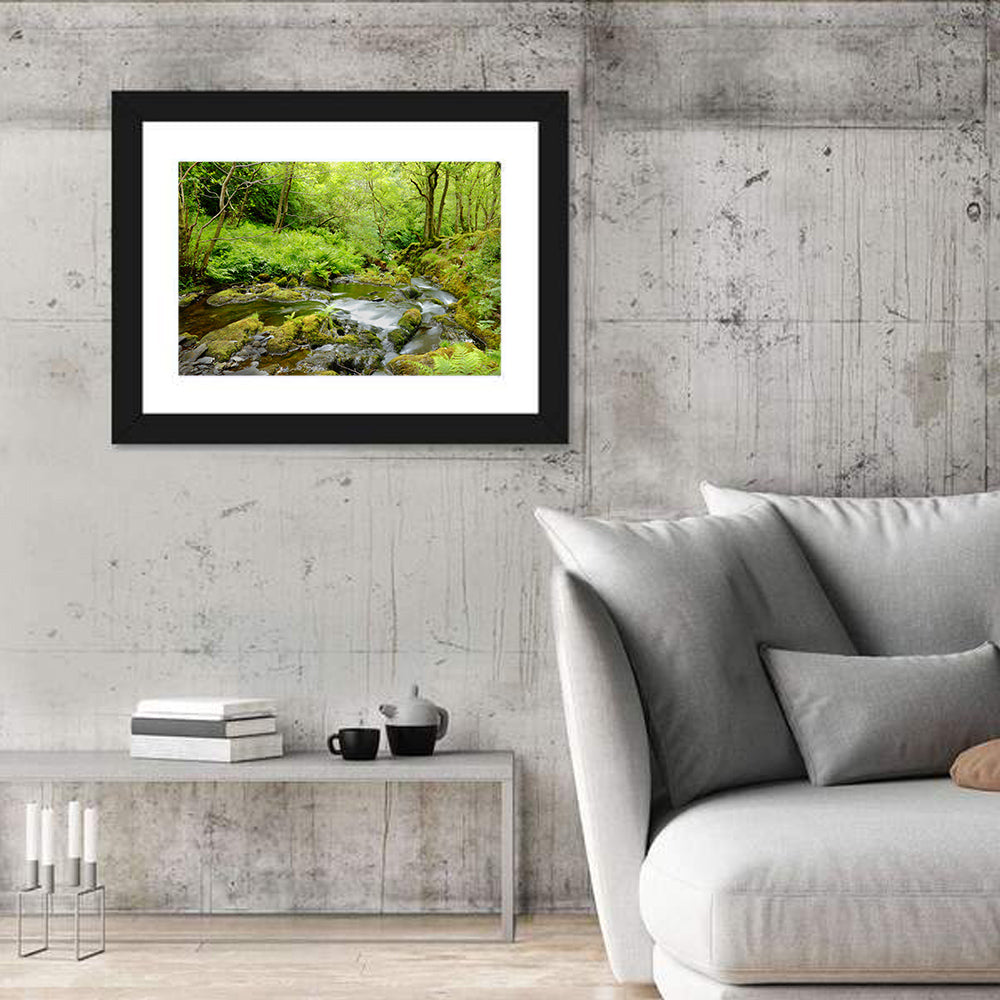 Mossy Stream Through Forest Wall Art