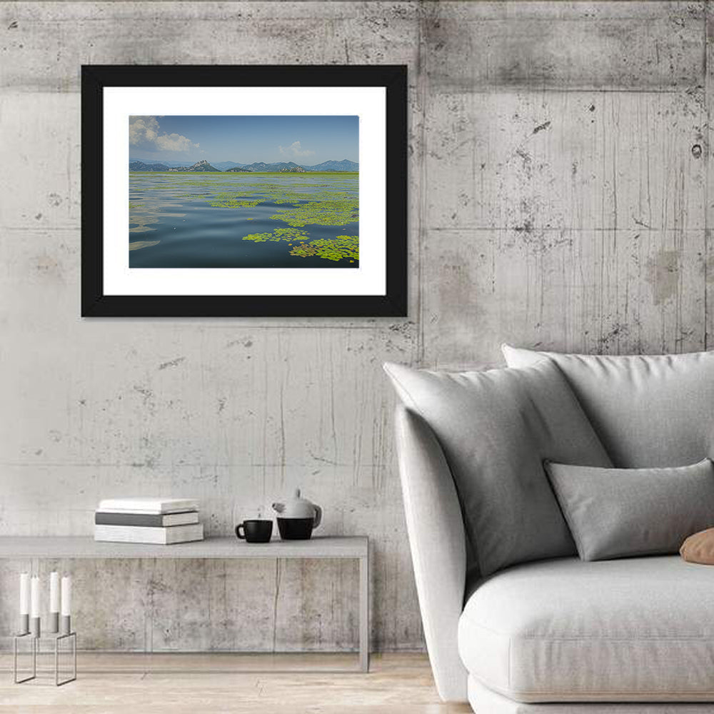 Lake Skadar Water Lilies Wall Art in a room, landscape