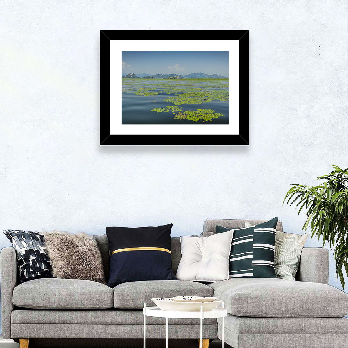 Lake Skadar Water Lilies Wall Art in a room, landscape