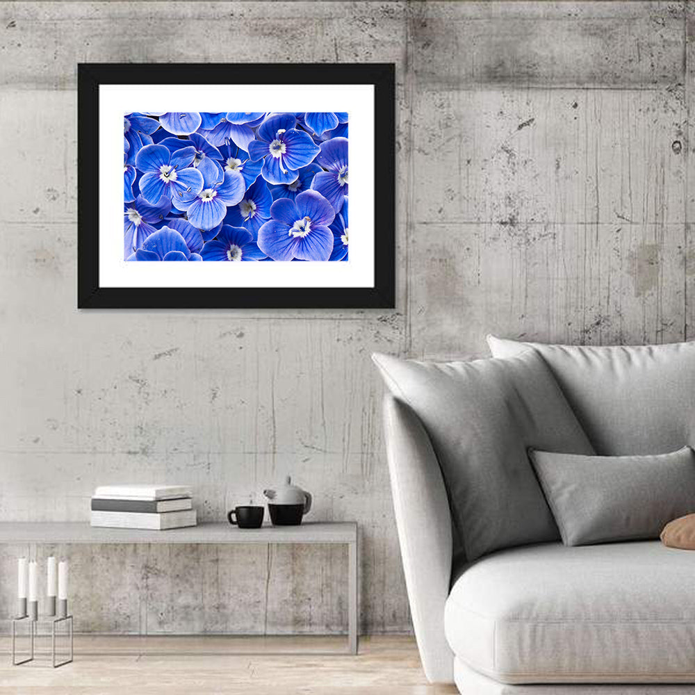 Blue Wildflower Close-up Wall Art