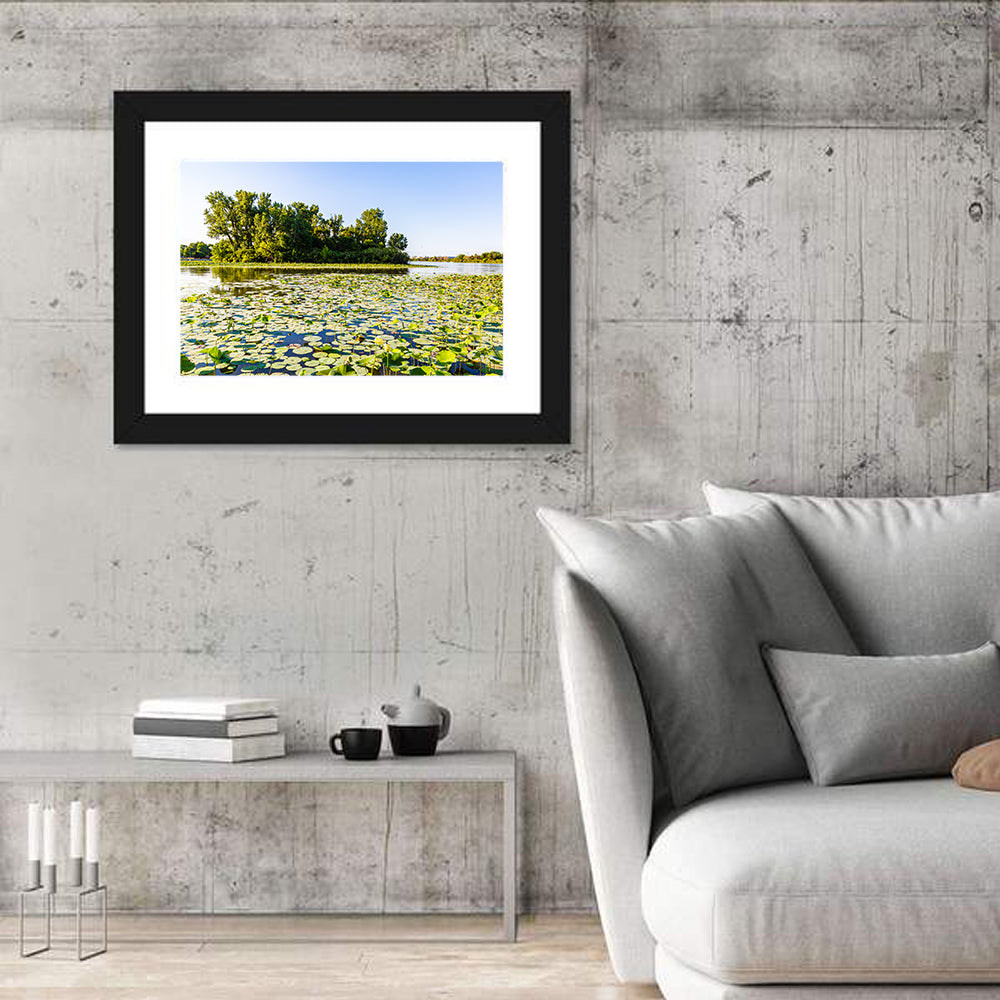 Carter Lake Lily Pads Wall Art in a room, landscape