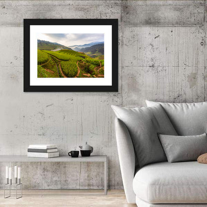 Terraced Rice Paddy Field Wall Art