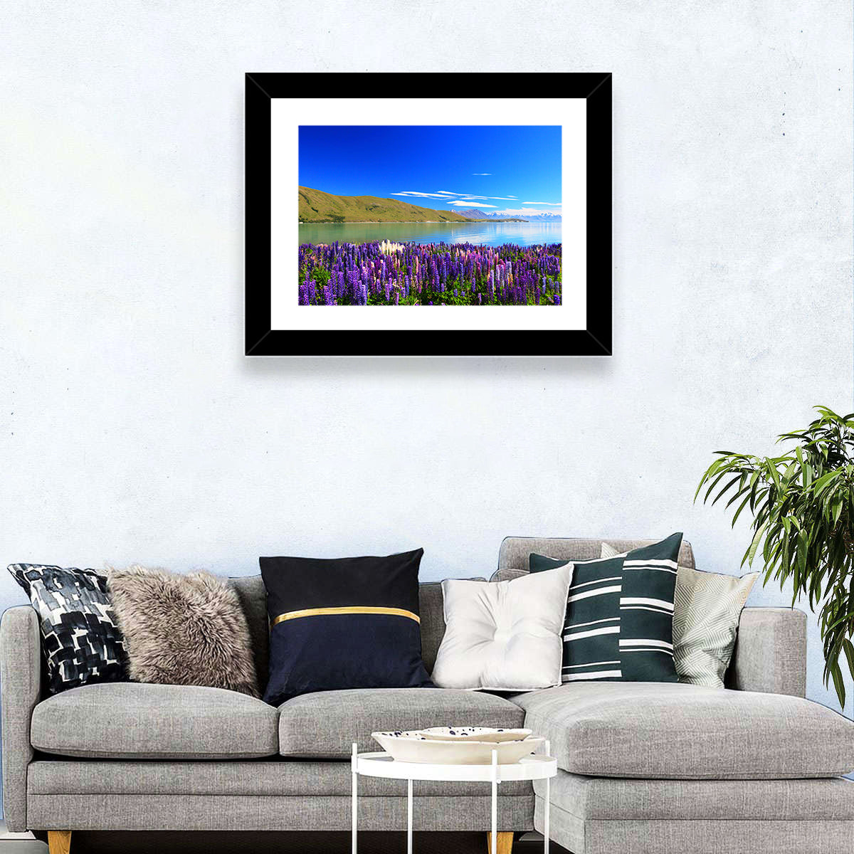 Lake Tekapo Lupine Fields Wall Art in a room, landscape