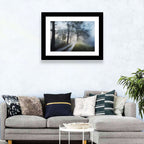 Foggy Forest Path Wall Art