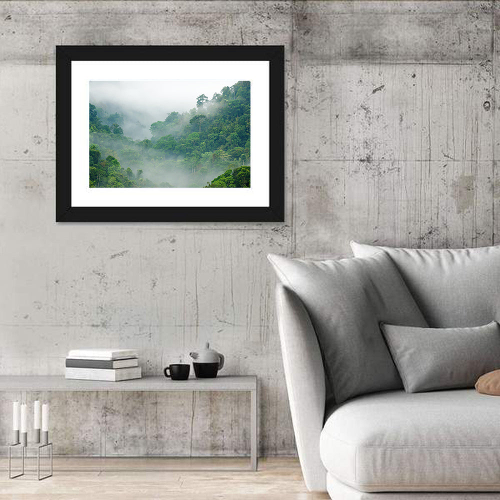 Misty Rainforest Morning Wall Art
