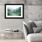 Misty Rainforest Morning Wall Art