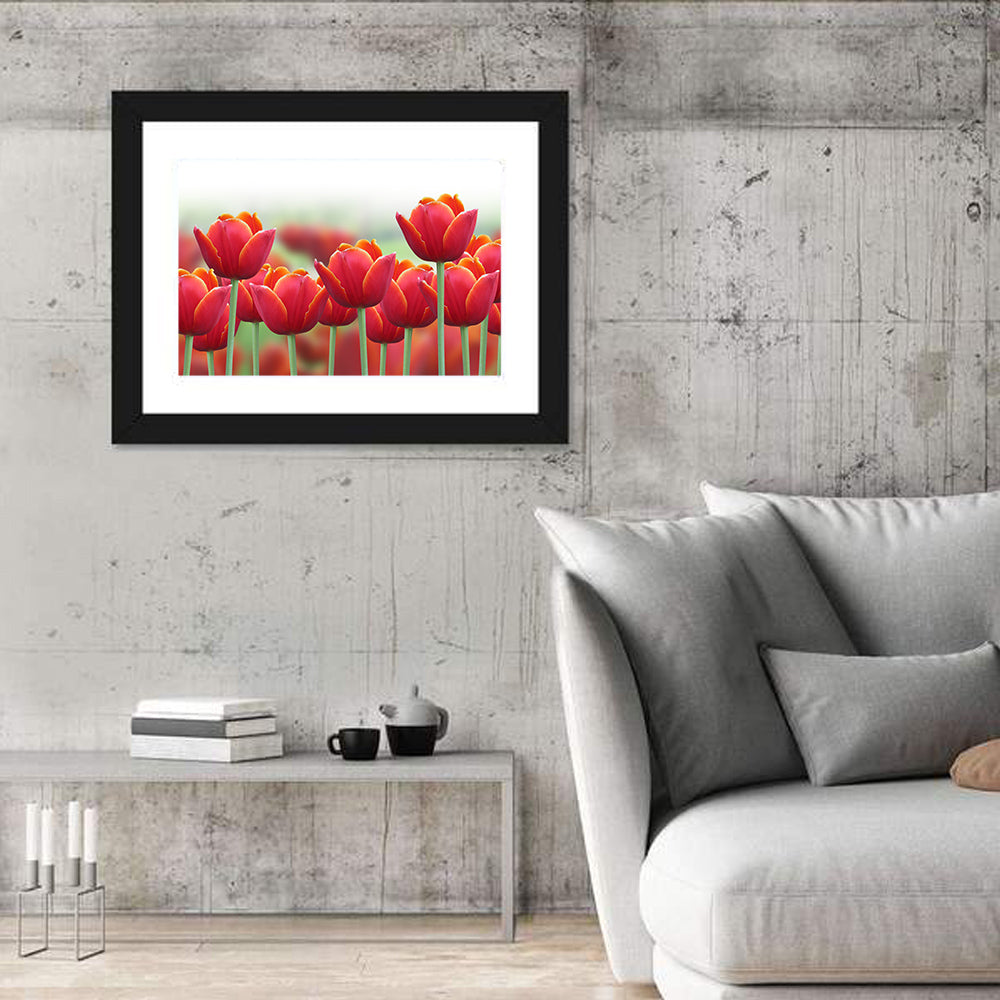 Red Tulips with Yellow Tips Wall Art in a room, landscape