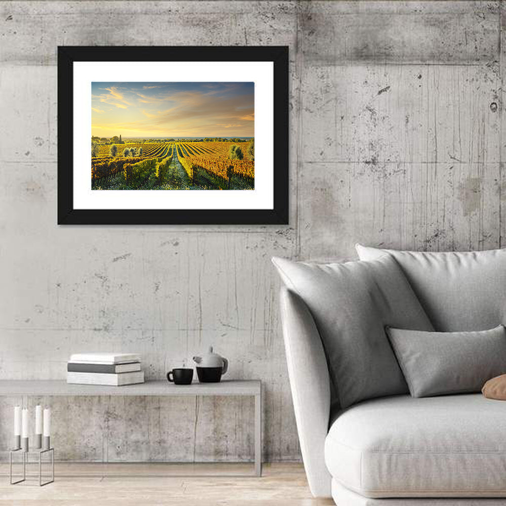 Bolgheri Vineyard Wall Art