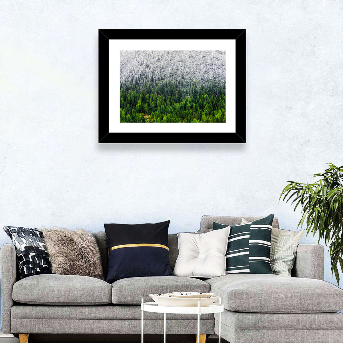Snowy Dolomites Winter Forest Wall Art