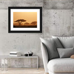 Amboseli Savanna Sunset Wall Art