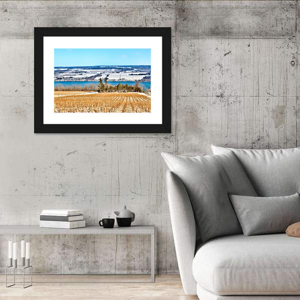 Seneca Lake Vineyard Wall Art in a room, landscape