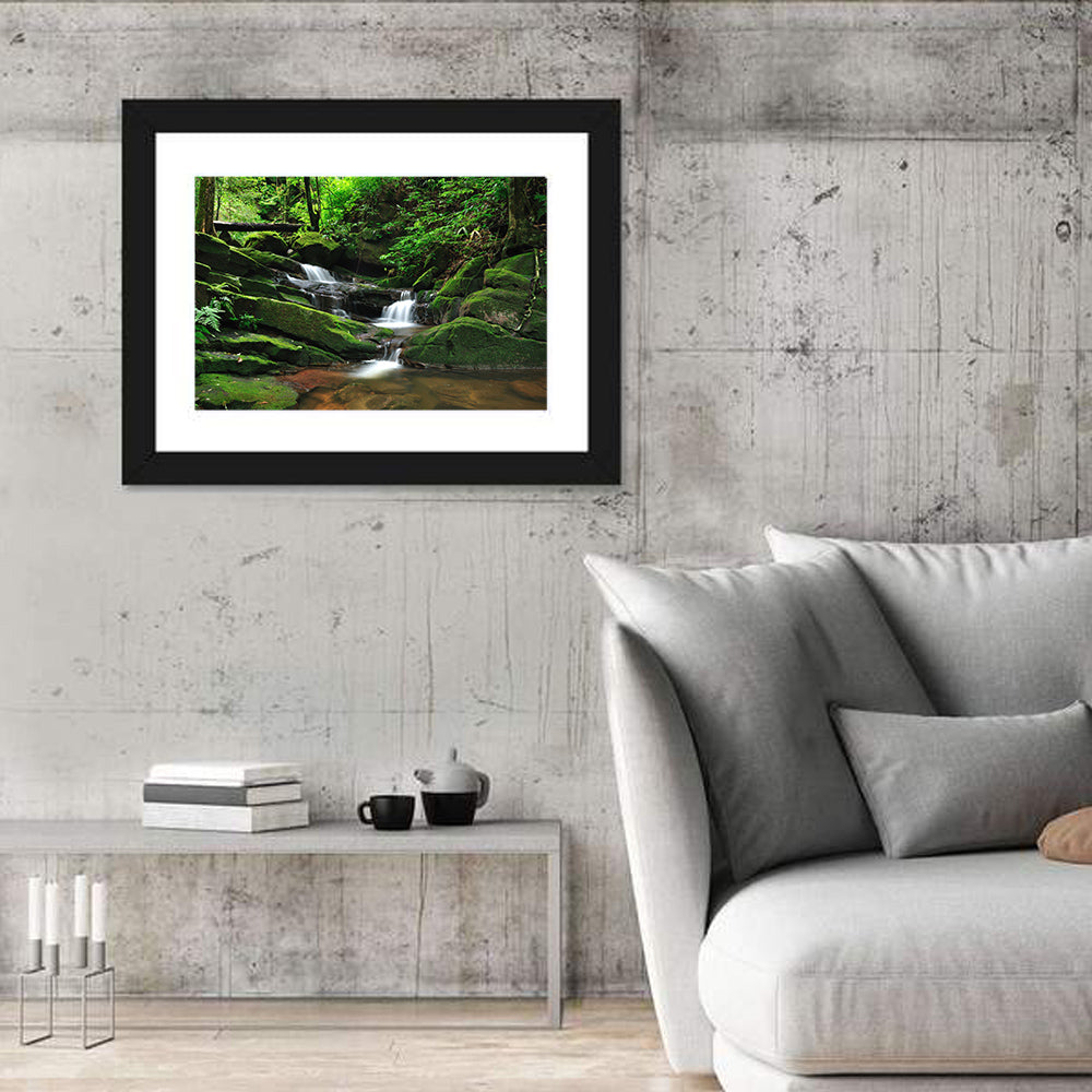 Mossy Rainforest Stream Wall Art in a room, landscape